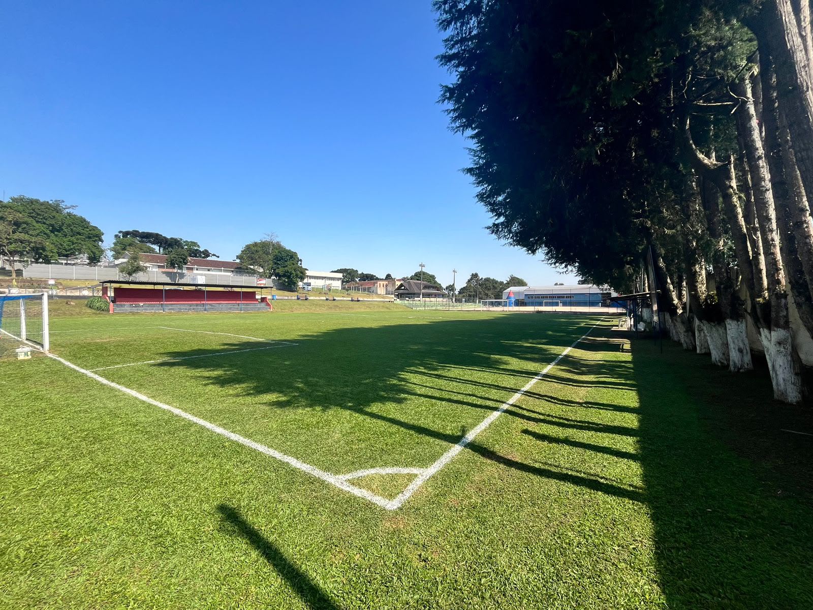 Campo de grama
