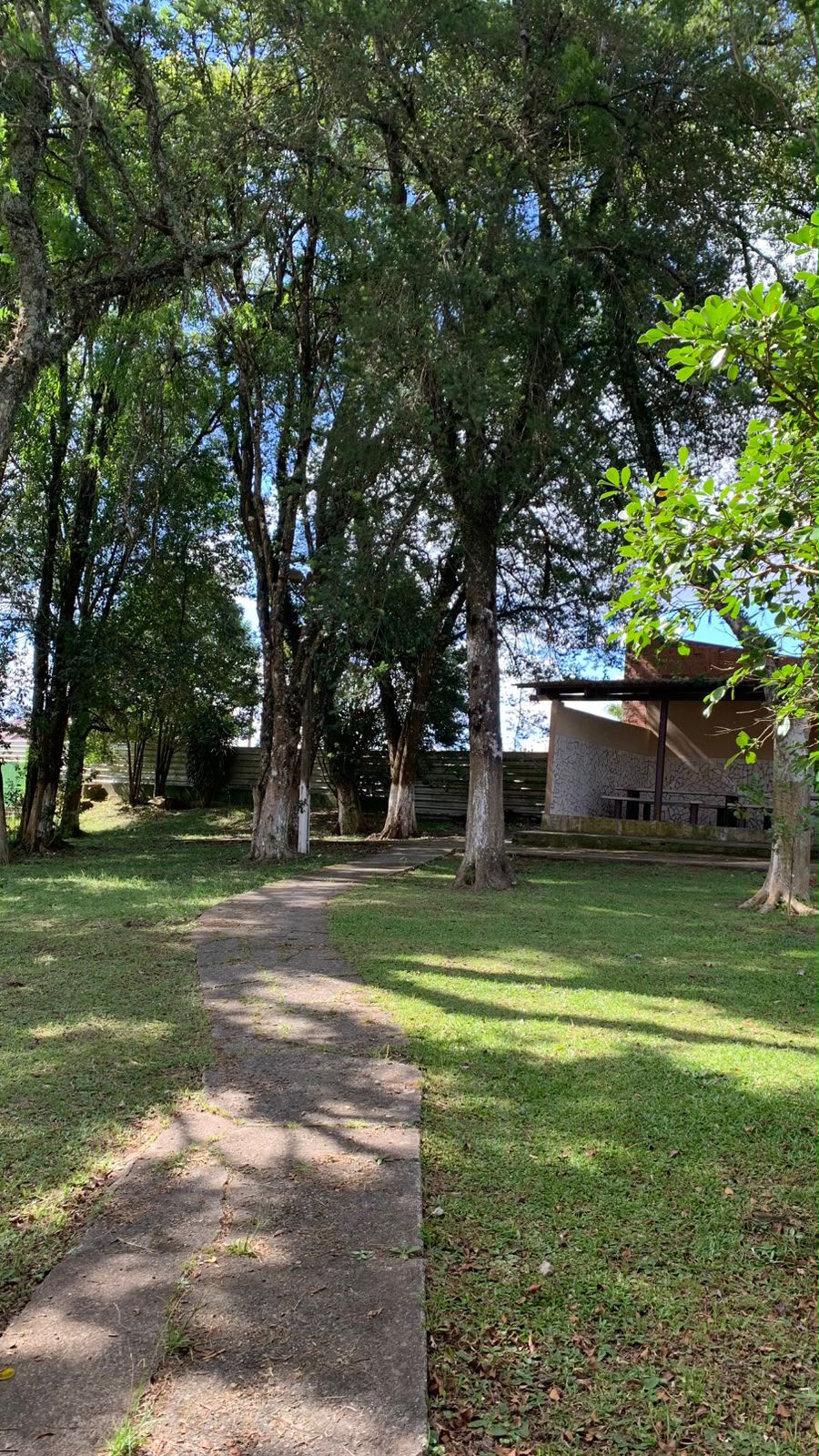 Bosque